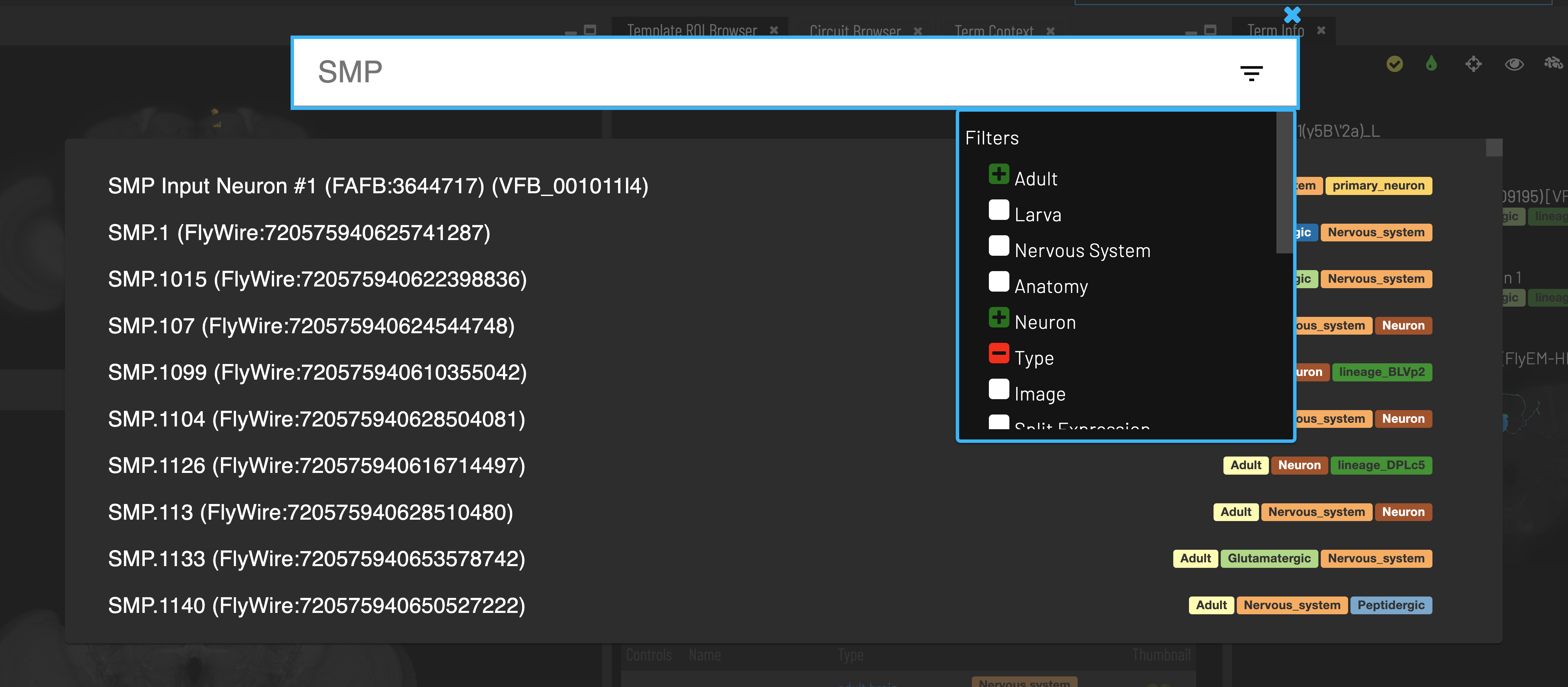 The VFB search tool.