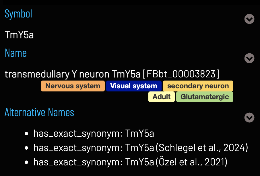 Entity Names in Term Info.